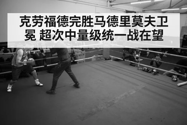 boxer training gym